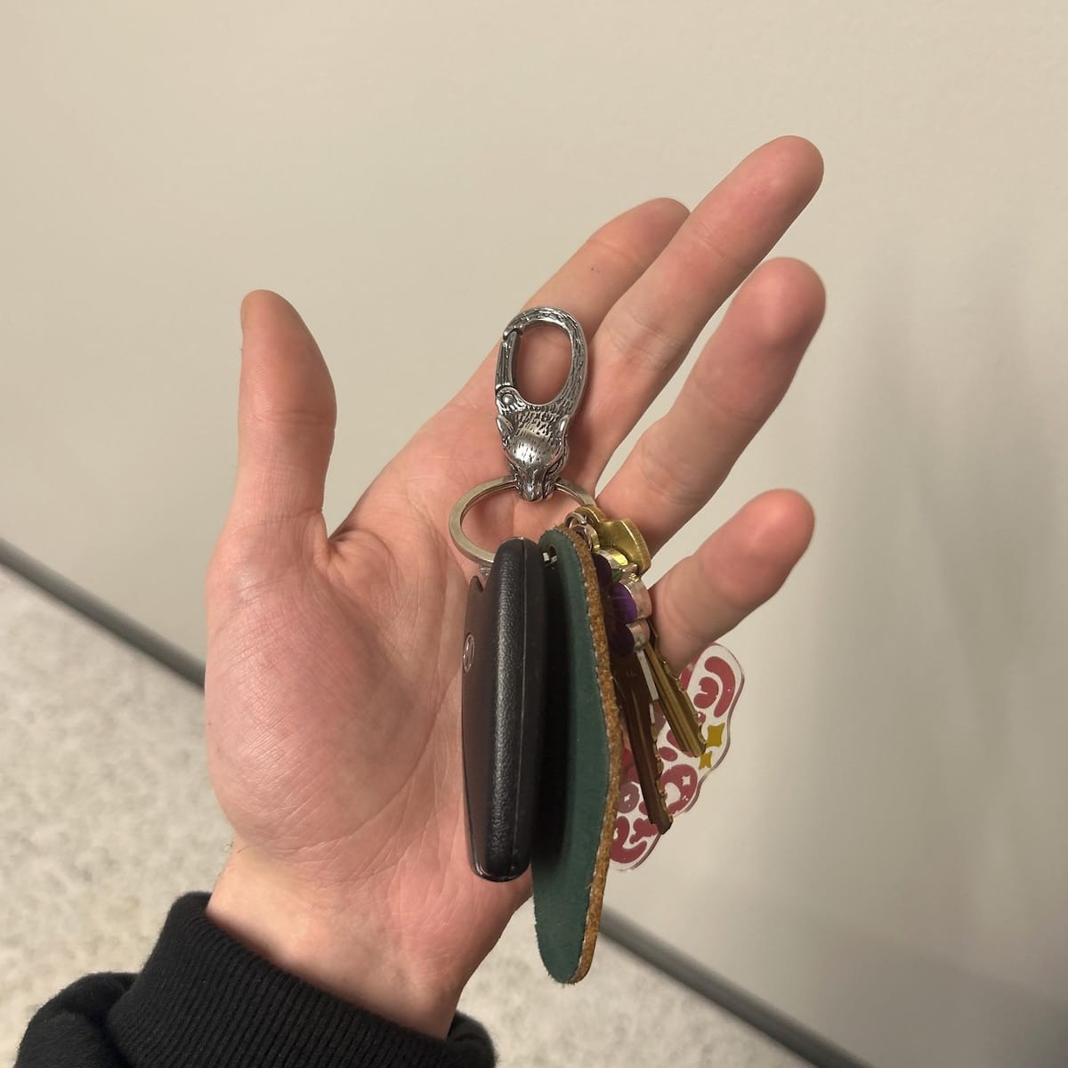 Customer photo review of Panthera Head Carabiner Keychain, Durable Metal Key Holder, Gift for Outdoor Enthusiasts, Secure Key Organizer
