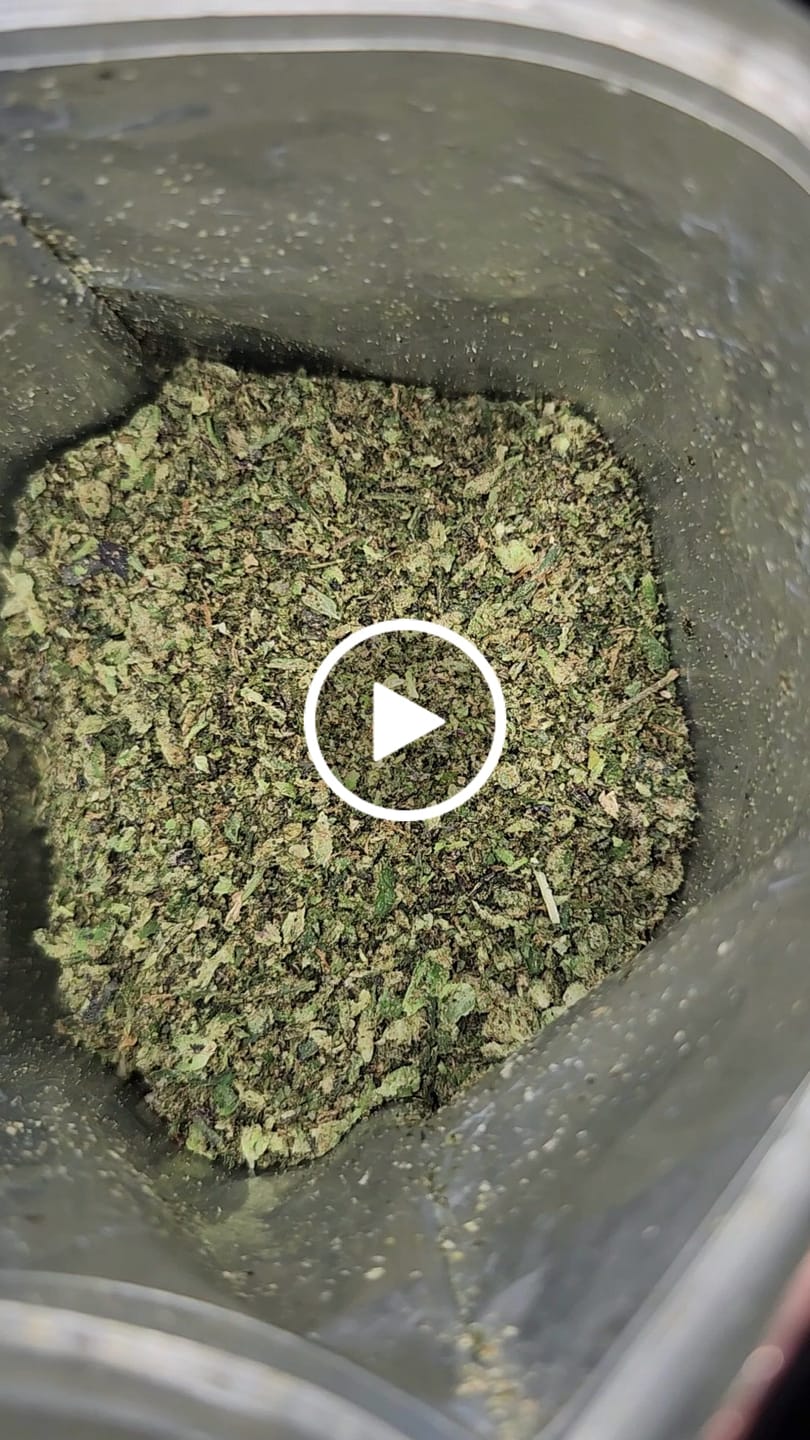 Customer video review of No5. Sherbet THCa Shake (Wholesale)