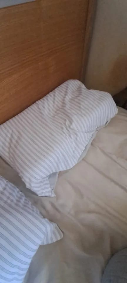 Customer photo review of Nocturno™ Pillow