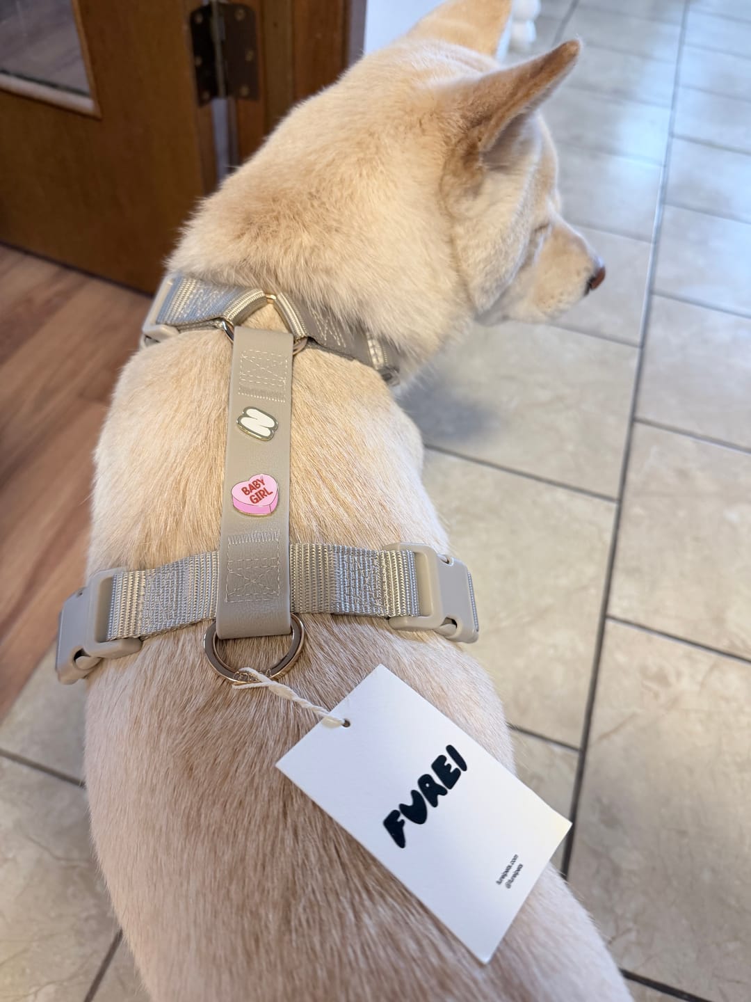 Customer photo review of Moodies Harness