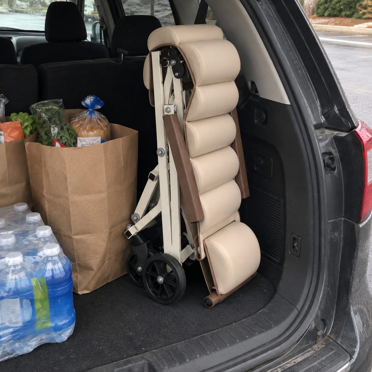 Customer photo review of Folding Transport Chair