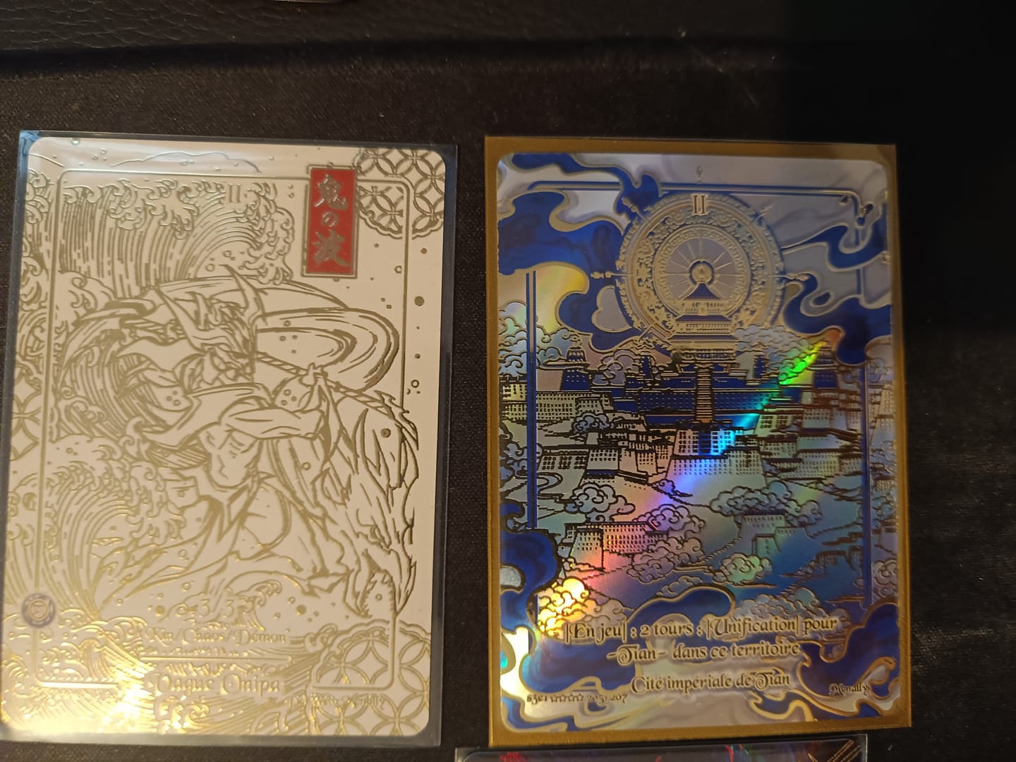 Customer photo review of Display Trois Royaumes