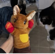 Customer photo review of Juguete Interactivo para Gatos con Cascabeles y Cuerdas