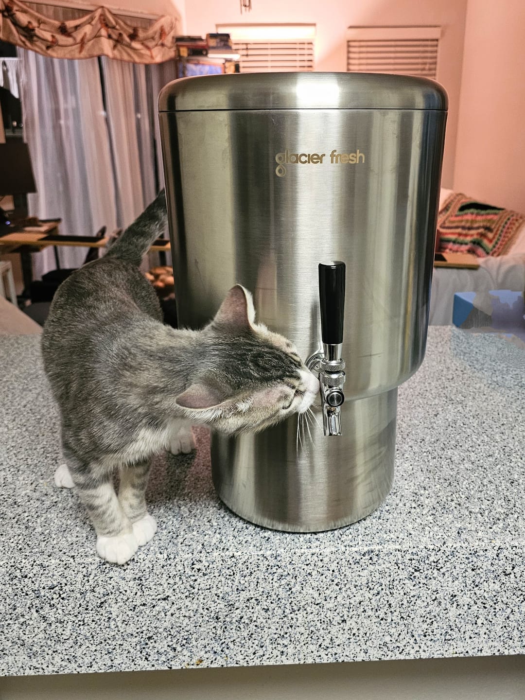 Customer photo review of GlacierFresh Countertop Stainless Steel Gravity Water Filter System | High-Capacity Emergency & Daily Purification | Remove Heavy Metals, PFAS & PFOS