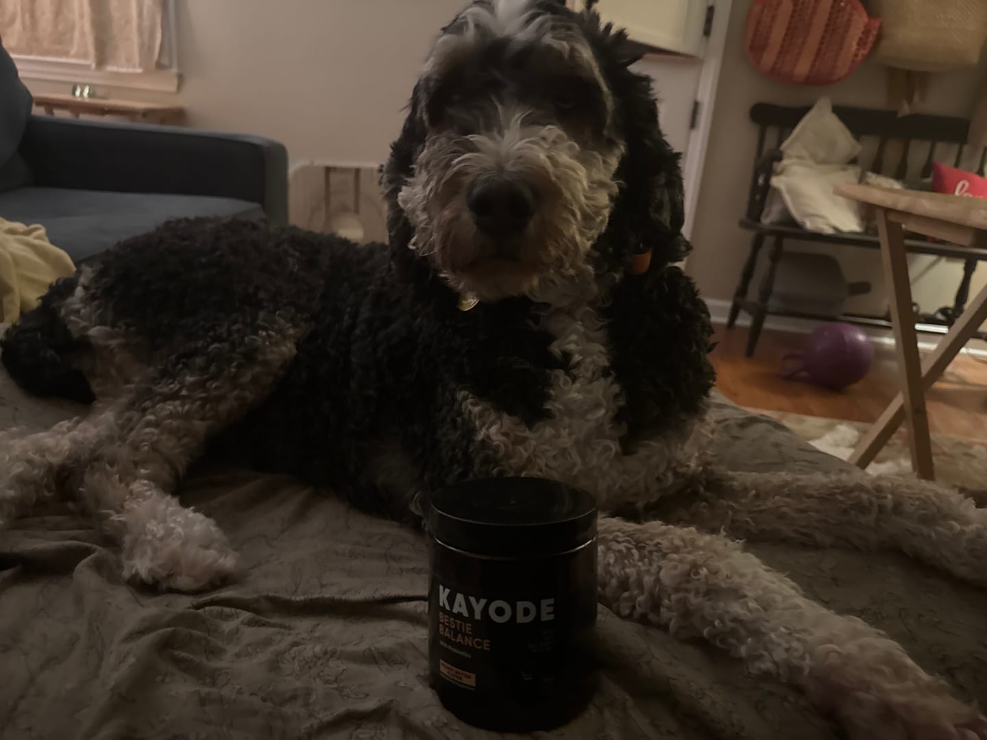 Customer photo review of Bison Liver Treats