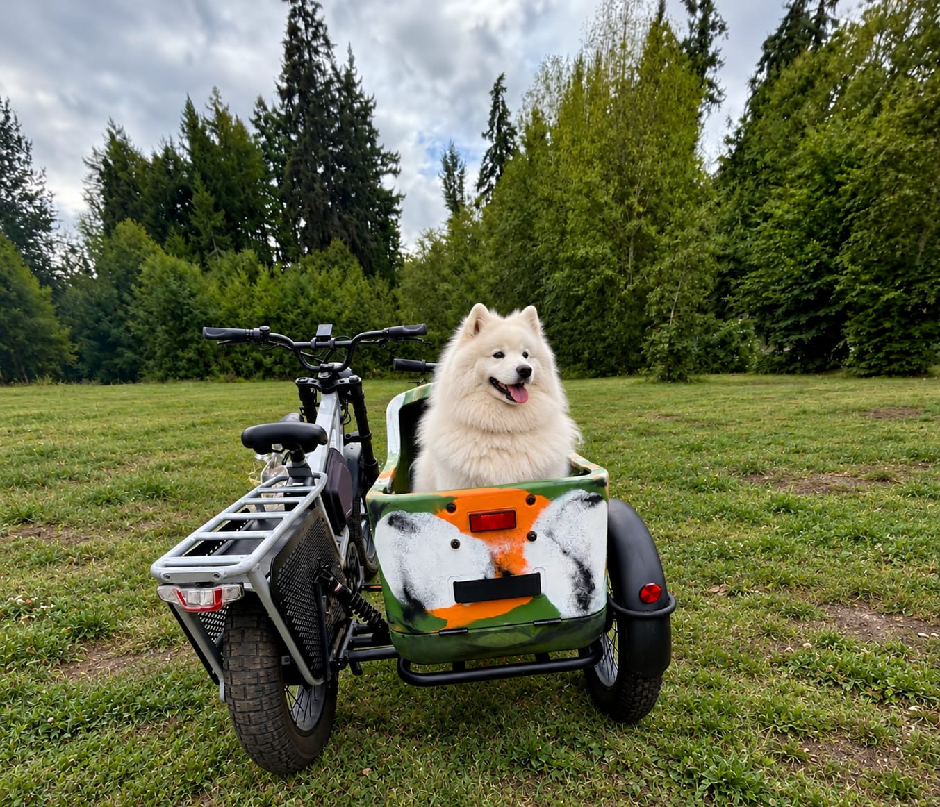 Customer photo review of Letrigo Sidecar01