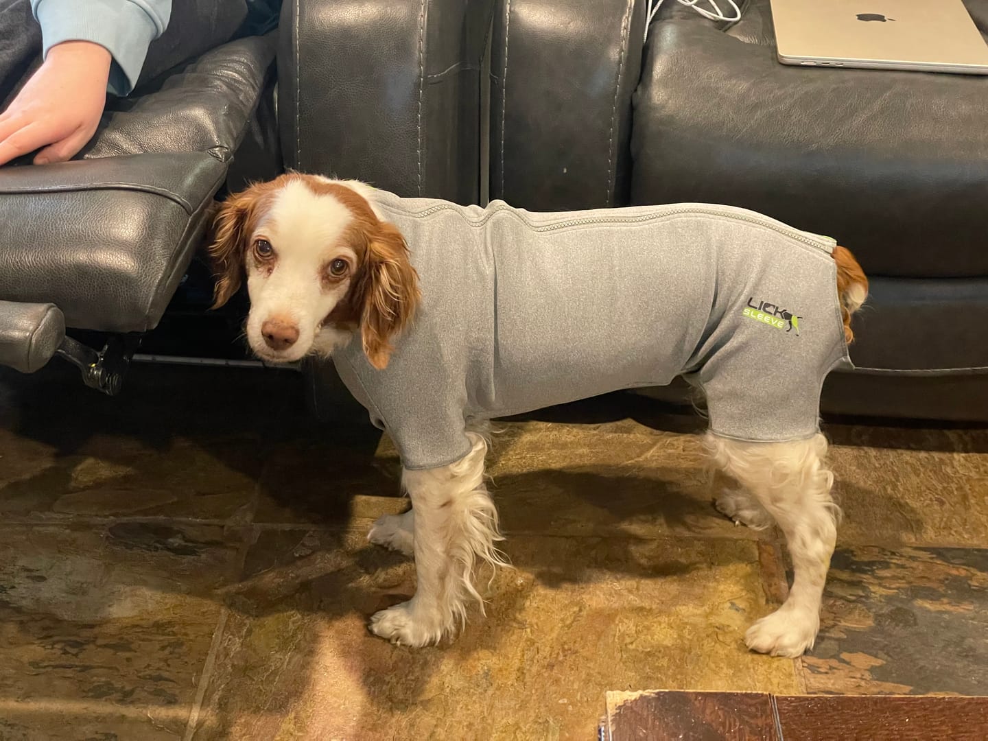 Customer photo review of Lick Sleeve® Recovery Suit