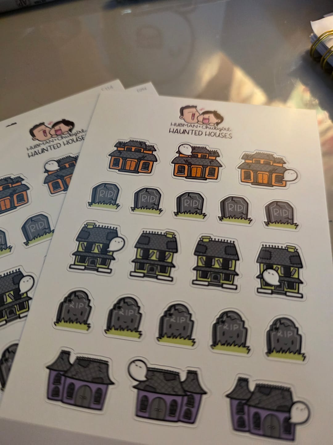 Customer photo review of Haunted Houses Planner Stickers