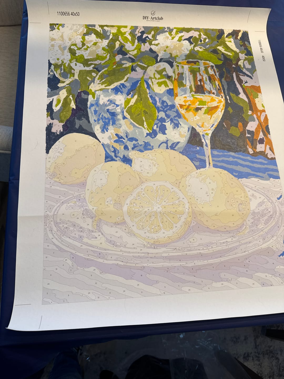 Customer photo review of Lemons and Wine | Paint by Numbers