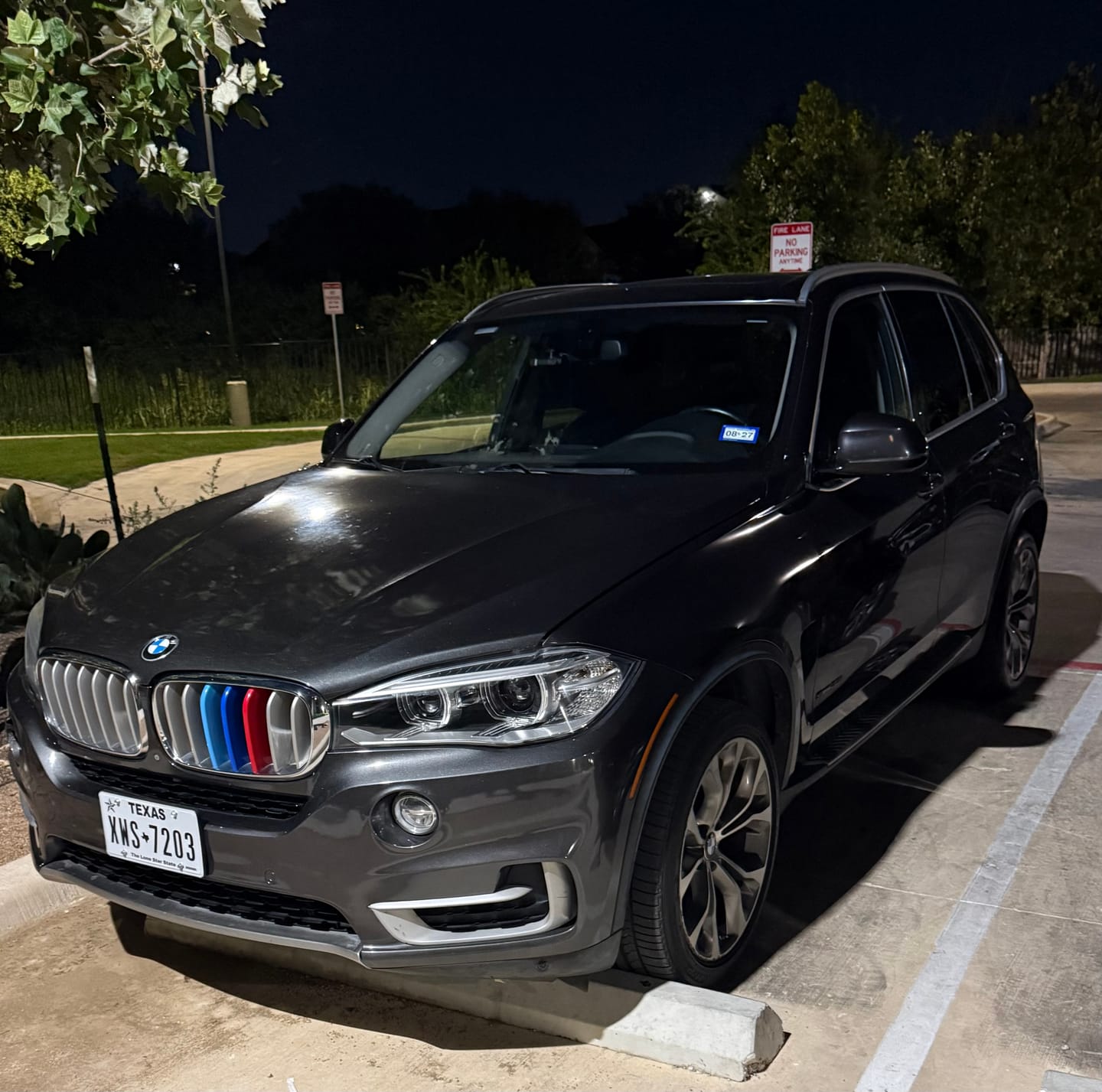 Customer photo review of SPCRSO M-Colored Tri Grille Insert Trim Strips for BMW X5 F15 (2014-2018) & X6 F16 (2015-2016) | Compatible with 7-Beam Front Kidney Grilles | Easy Clip-on Installation