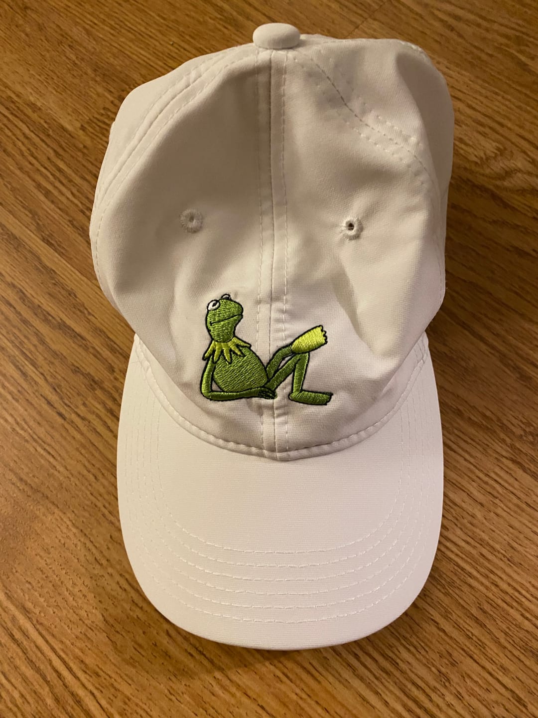 Customer photo review of Disney's The Muppets "Easy Being Green" – Performance Hat