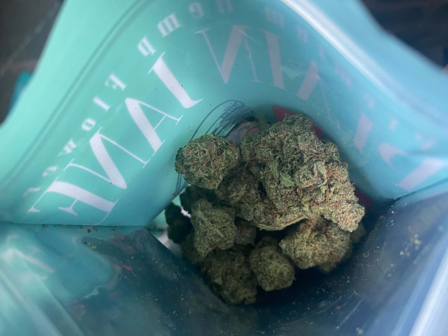 Customer photo review of Purple Nebula (Light Assist) - THCA Flower