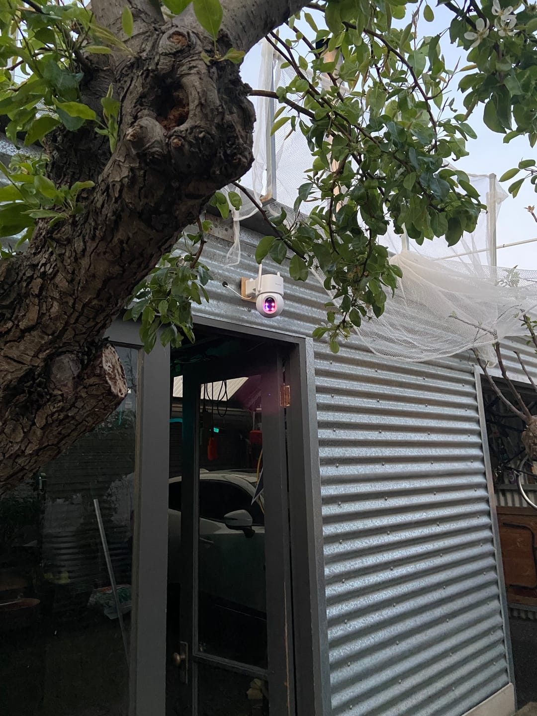Customer photo review of KeldCo Solar Camera 3.0 64GB Perimeter Kit