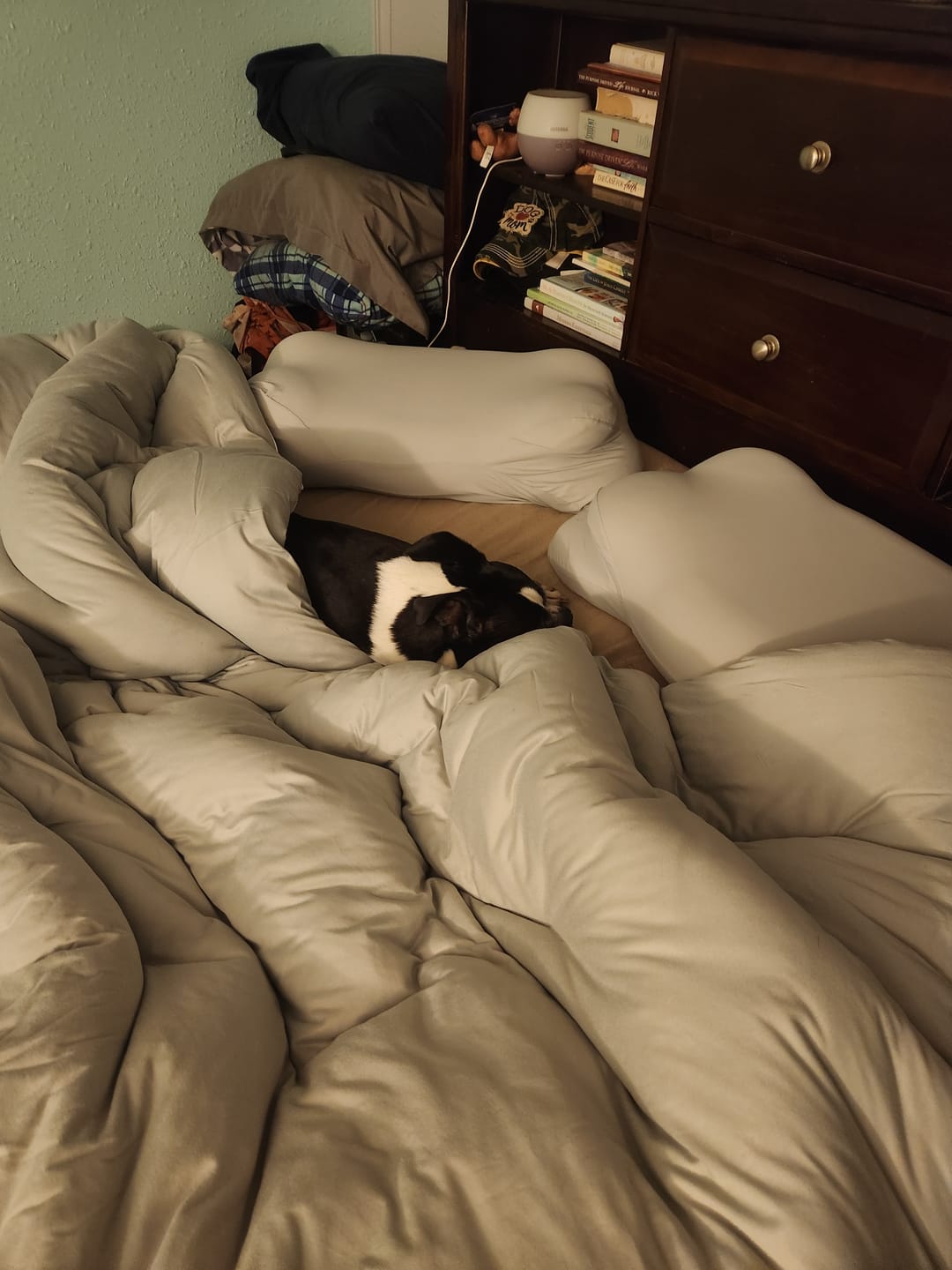 Customer photo review of MarshMellow Comforter