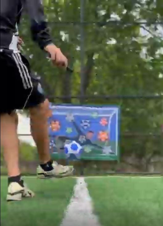 Customer photo review of StickySoccer™