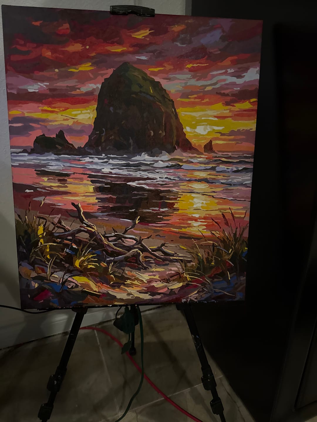 Customer photo review of Haystack Rock, Cannon Beach (80 Color Paint by Numbers)