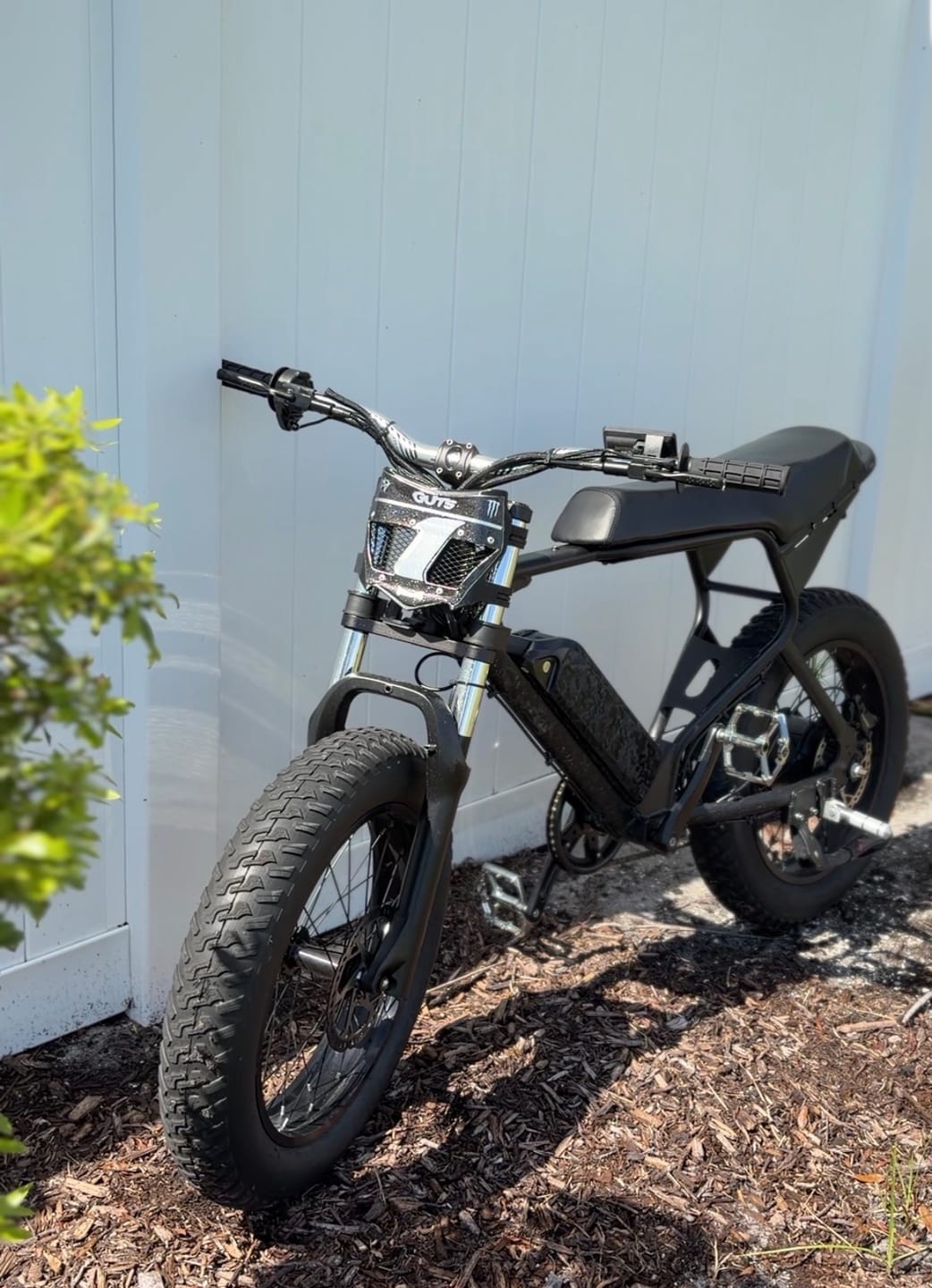 Customer photo review of Macfox X1S Commuter E-bike