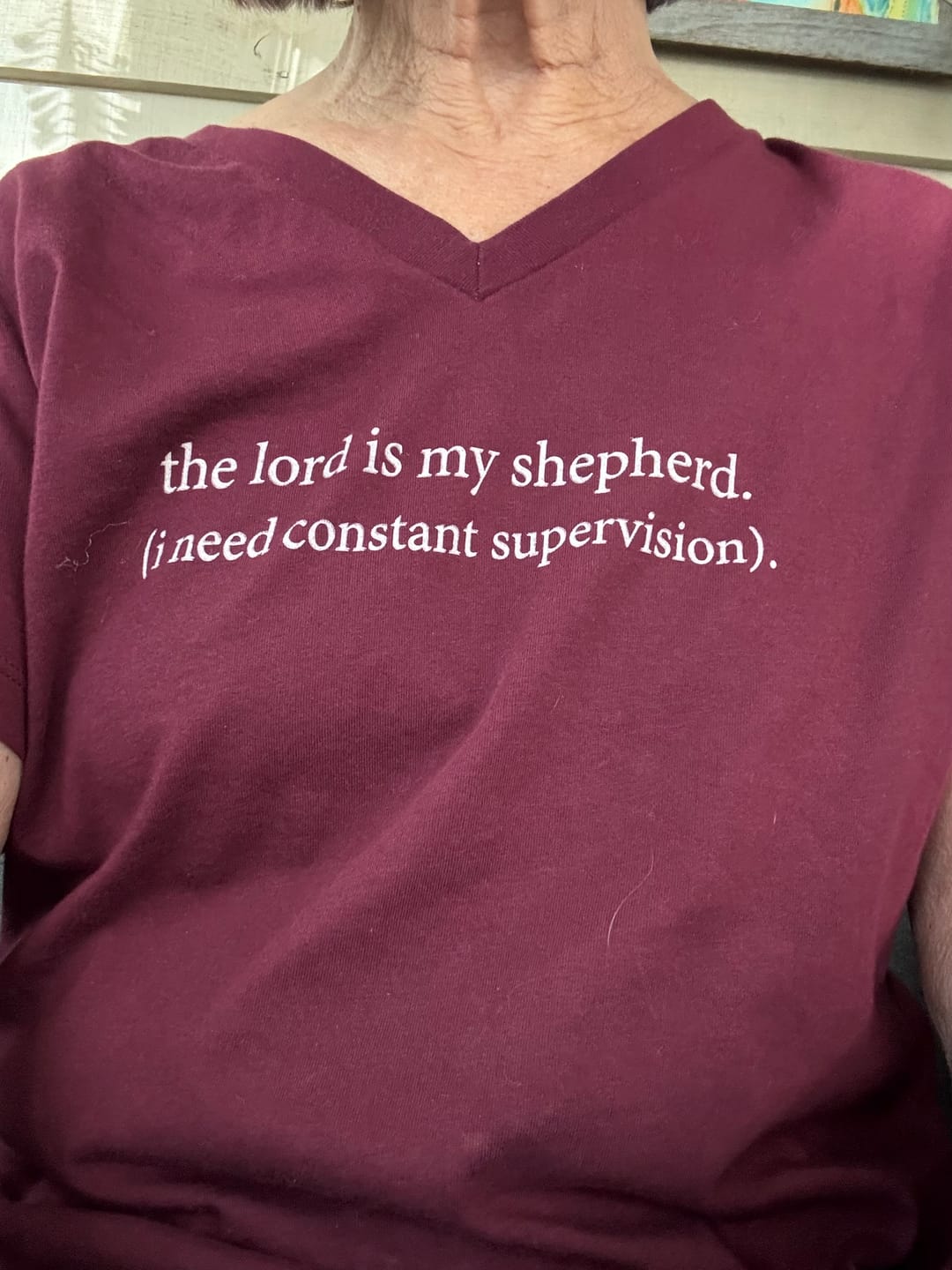 Customer photo review of Constant Supervision V-Neck Tee