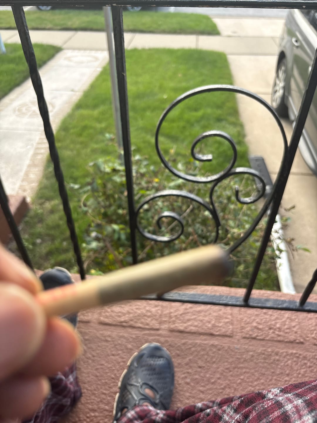 Customer photo review of Dank Forest 30ct. Pre-Rolls 1g