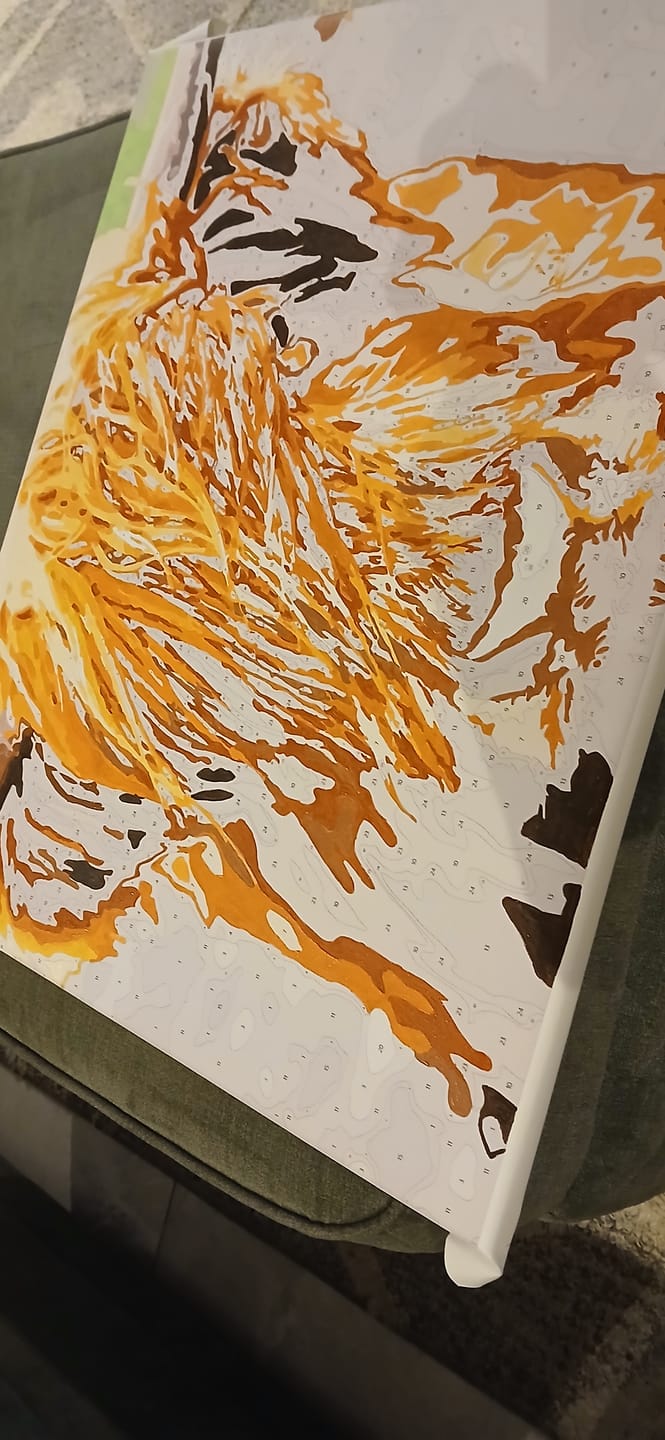 Customer photo review of Scottish Highland Cattle | Paint by numbers