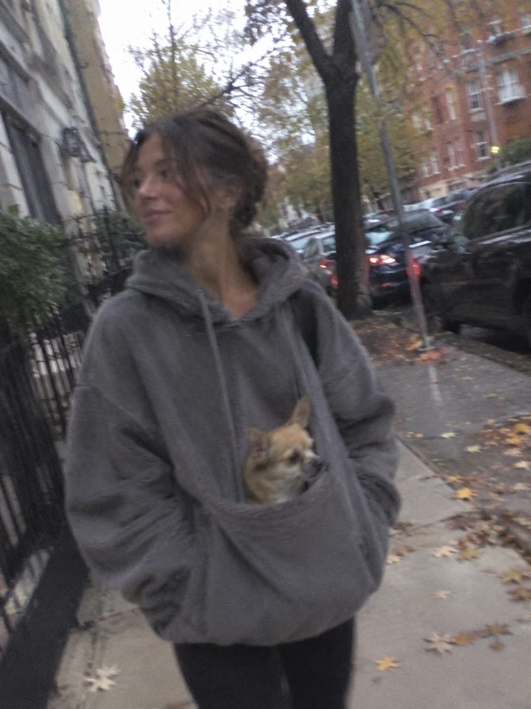 Customer photo review of The Joey Hoodie™ – for Small Dogs & Cats
