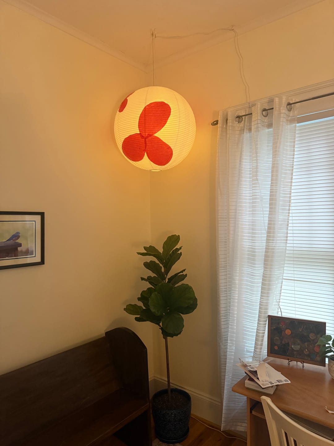 Customer photo review of Single-Socket White Pendant Light Lamp Cord for Lanterns, Switch, E26, 11-Foot - Electrical Swag Light Kit
