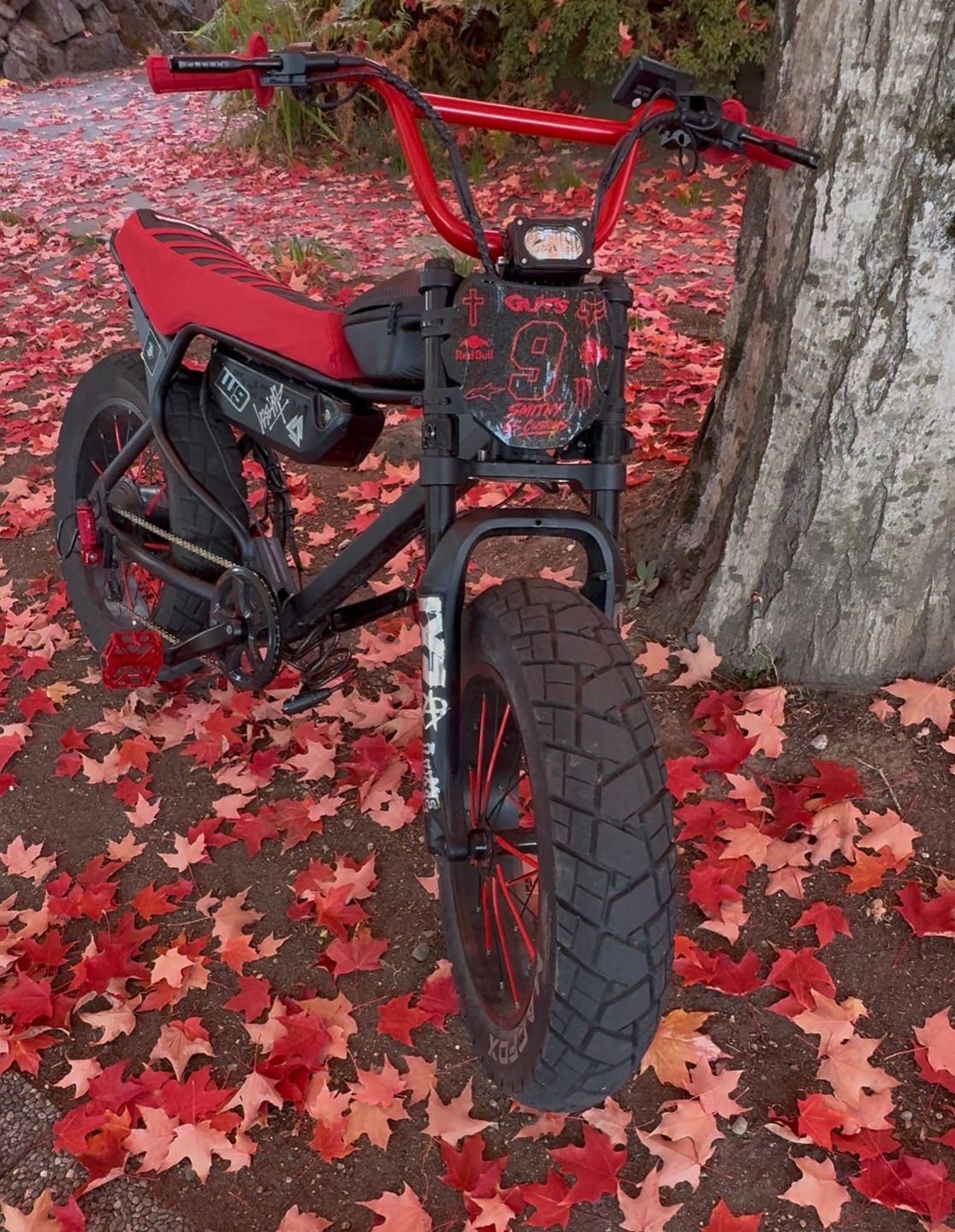 Customer photo review of Macfox X7