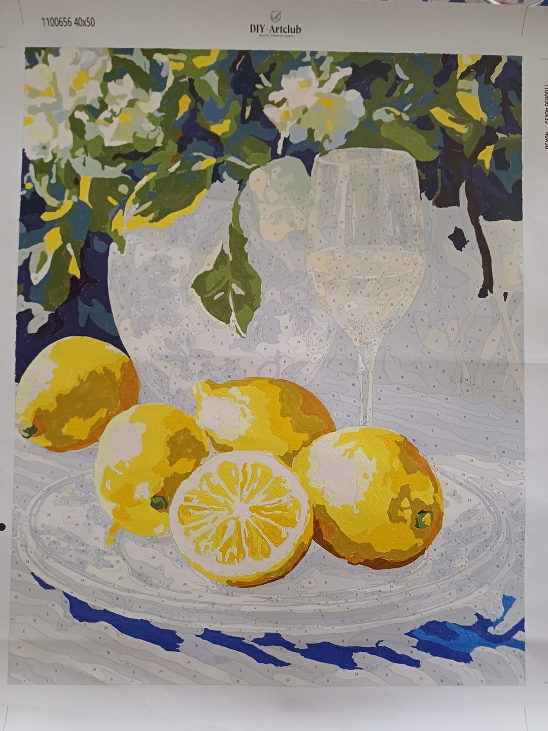 Customer photo review of Lemons and Wine | Paint by Numbers