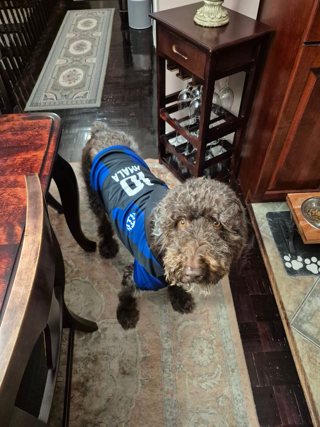 Customer photo review of Inter Milan Dog Hoodie