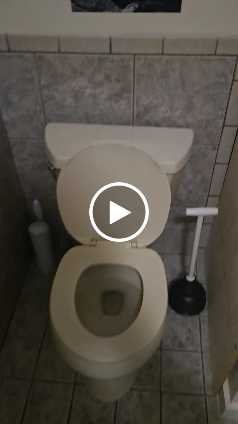Customer video review of Dumb And Dumber Toilet Scene