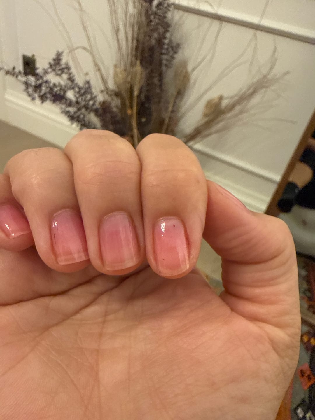 Customer photo review of [Şeftali] Renkli Tırnak Güçlendirici