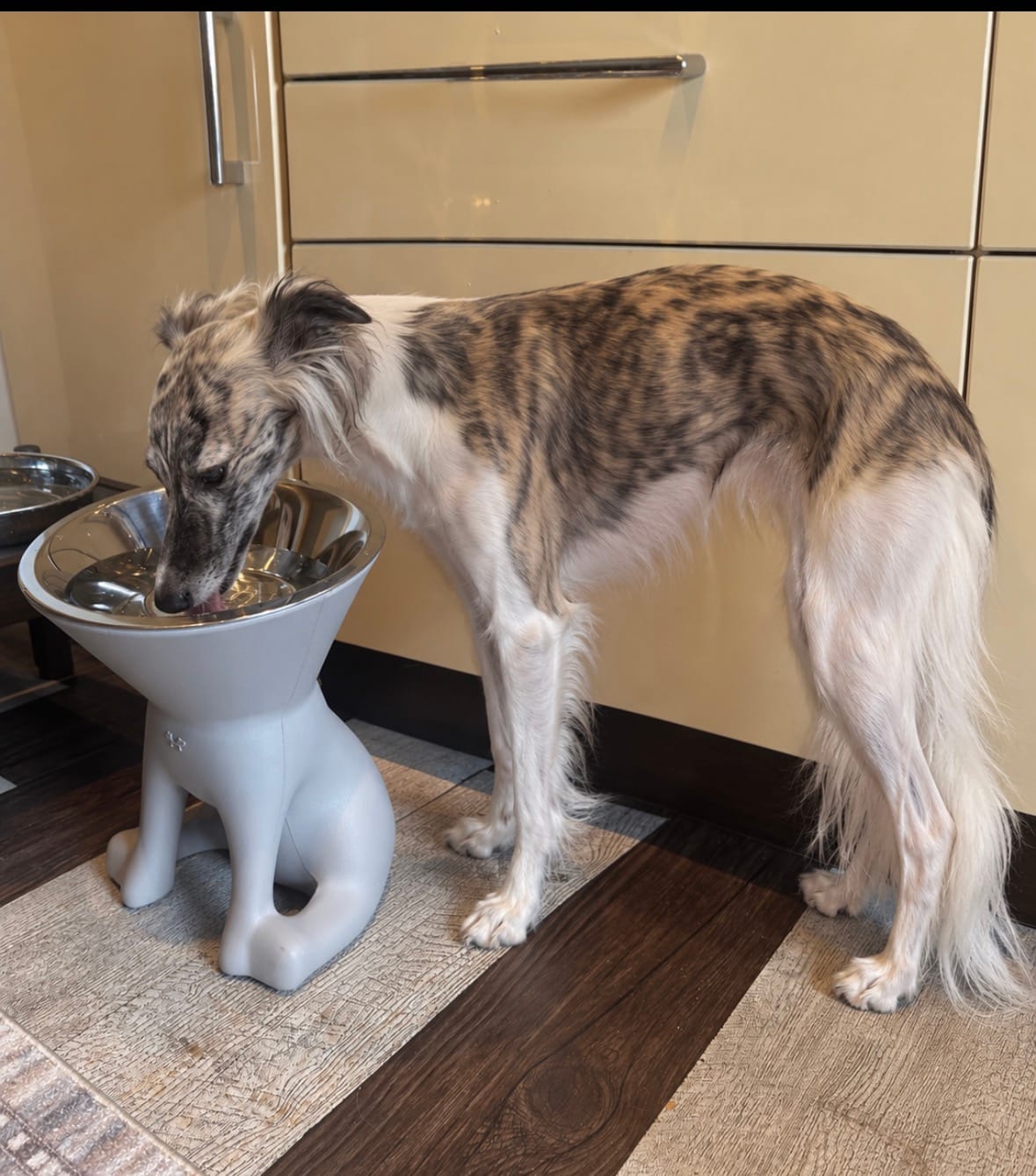 Customer photo review of Diego Dackel – Handgefertigtes Kauspielzeug aus Baumwolle für Hunde