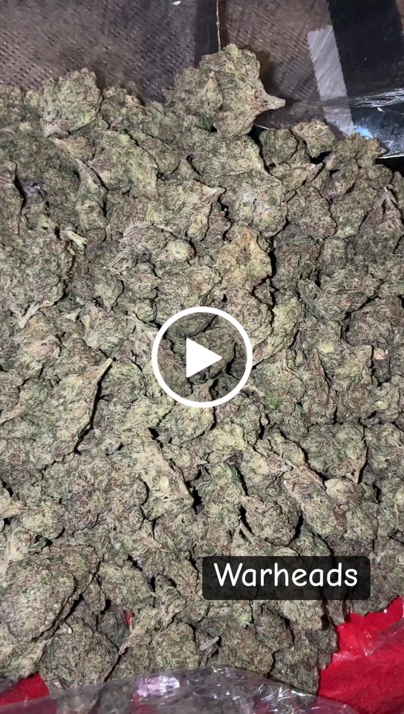 Customer video review of Warheads - Bulk - Sativa