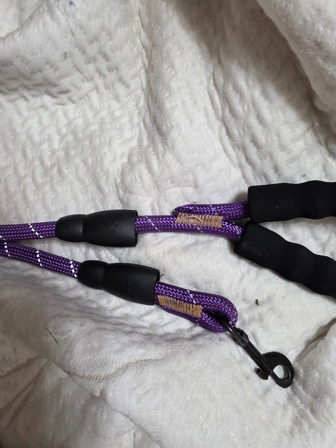 Customer photo review of Reflective Nylon Leash