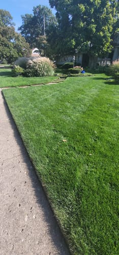 Customer photo