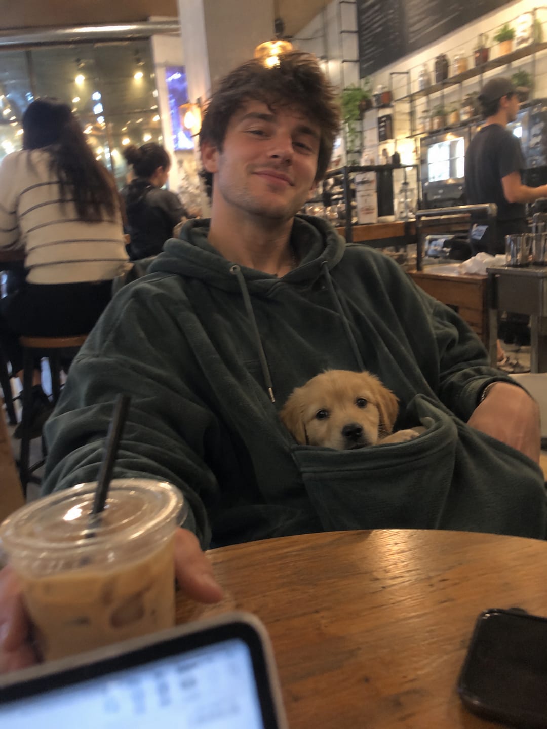 Customer photo review of The Joey Hoodie™ – for Small Dogs & Cats