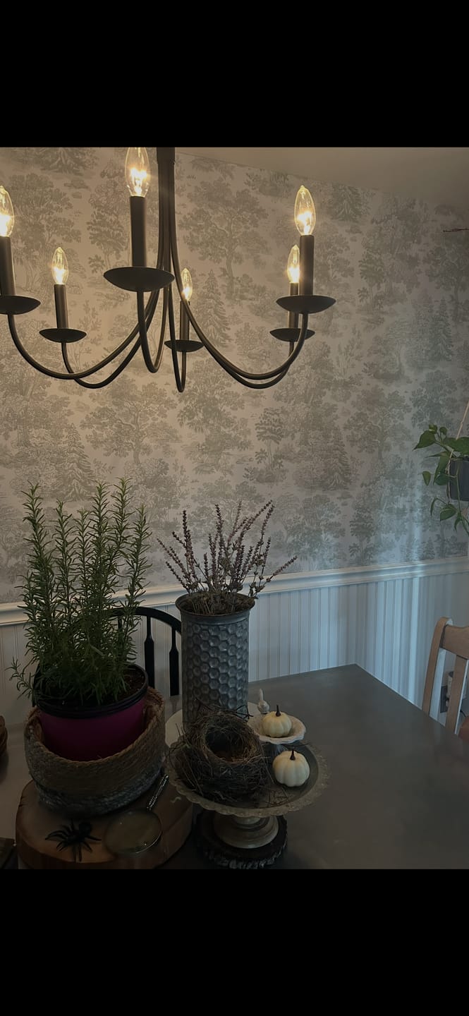 Customer photo review of Willow - Vintage Etched Forest Trees Wallpaper