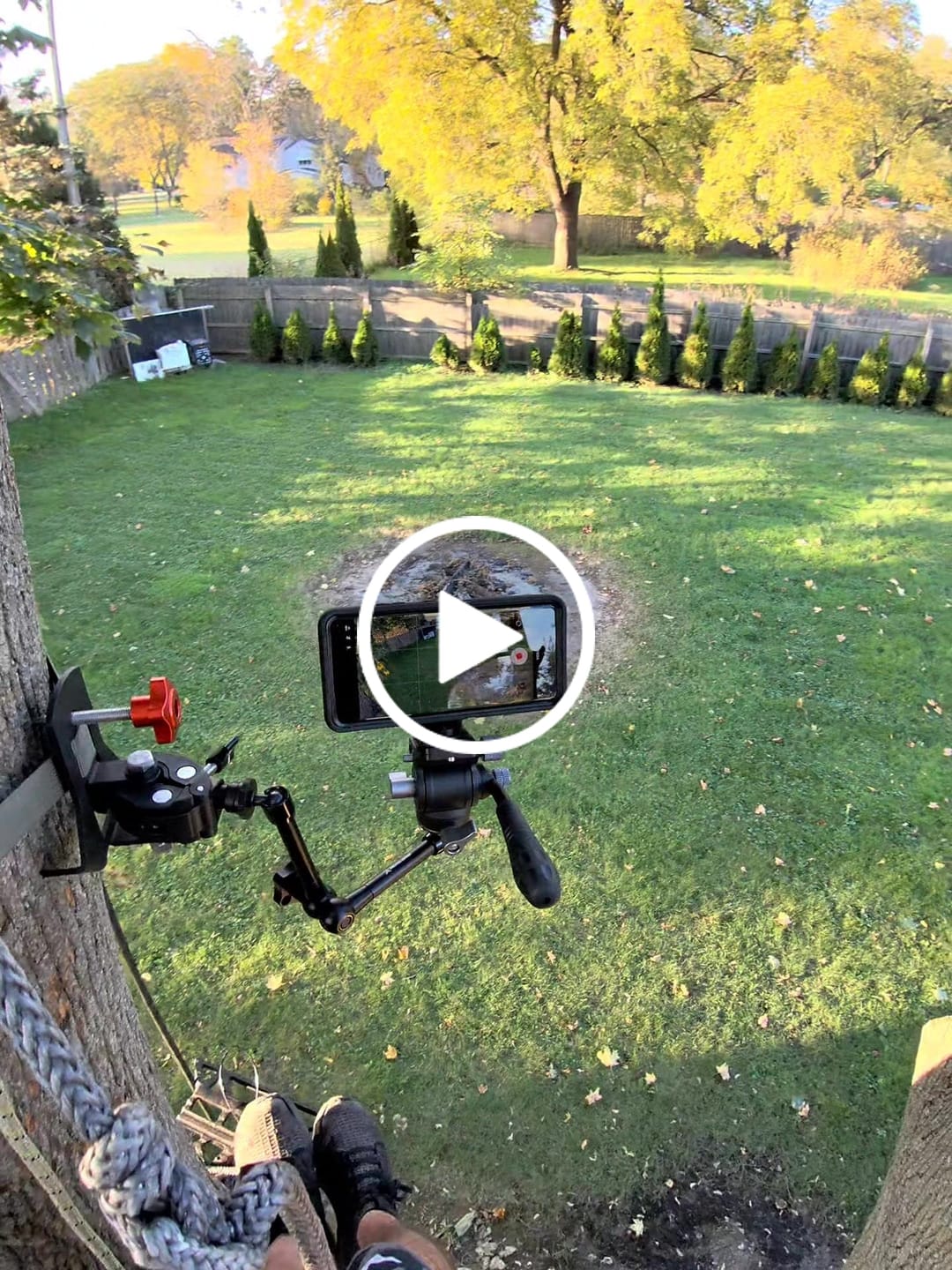 Customer video review of Tree Adapter