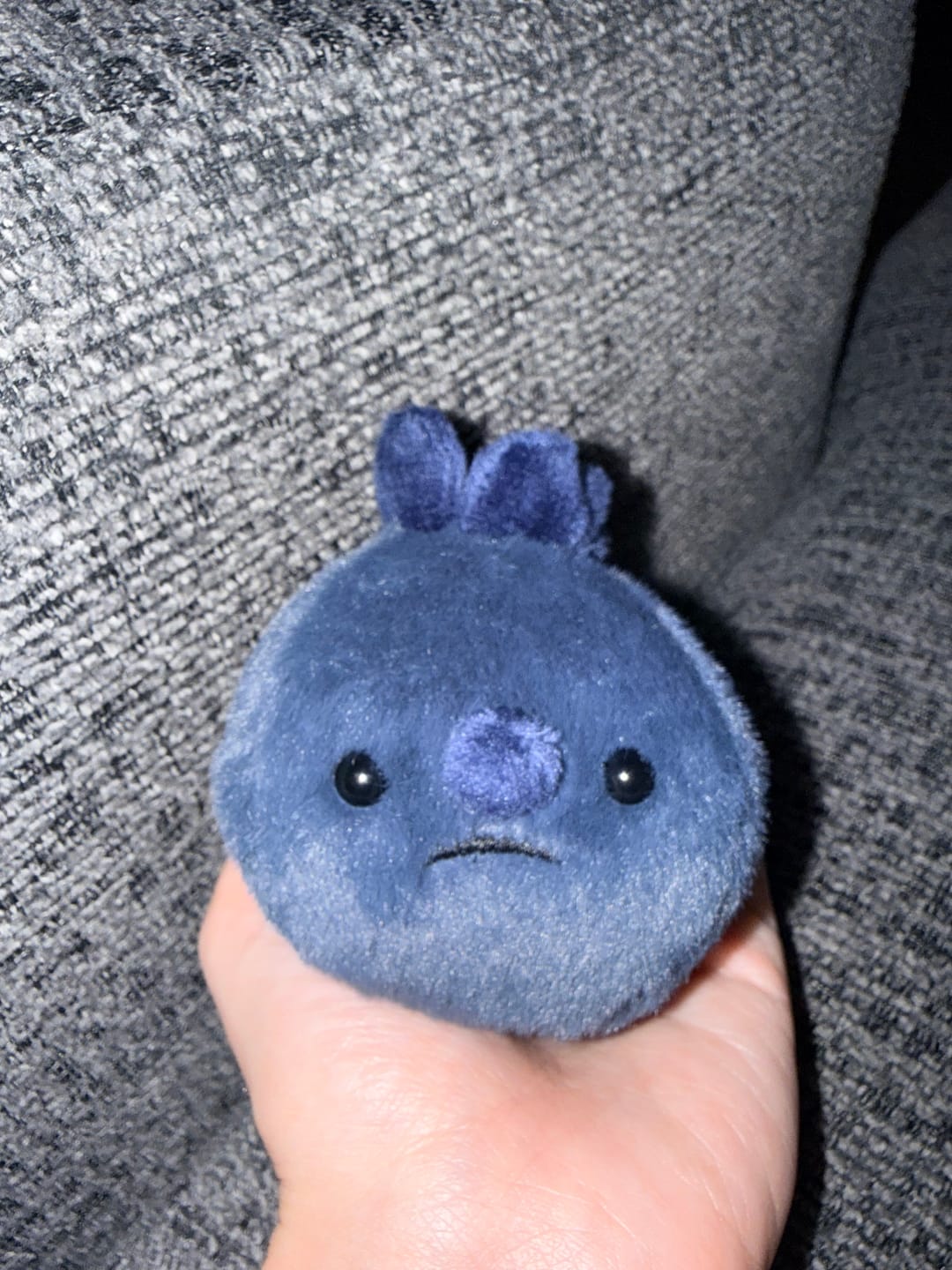 Customer photo review of Forgotten Single Blueberry