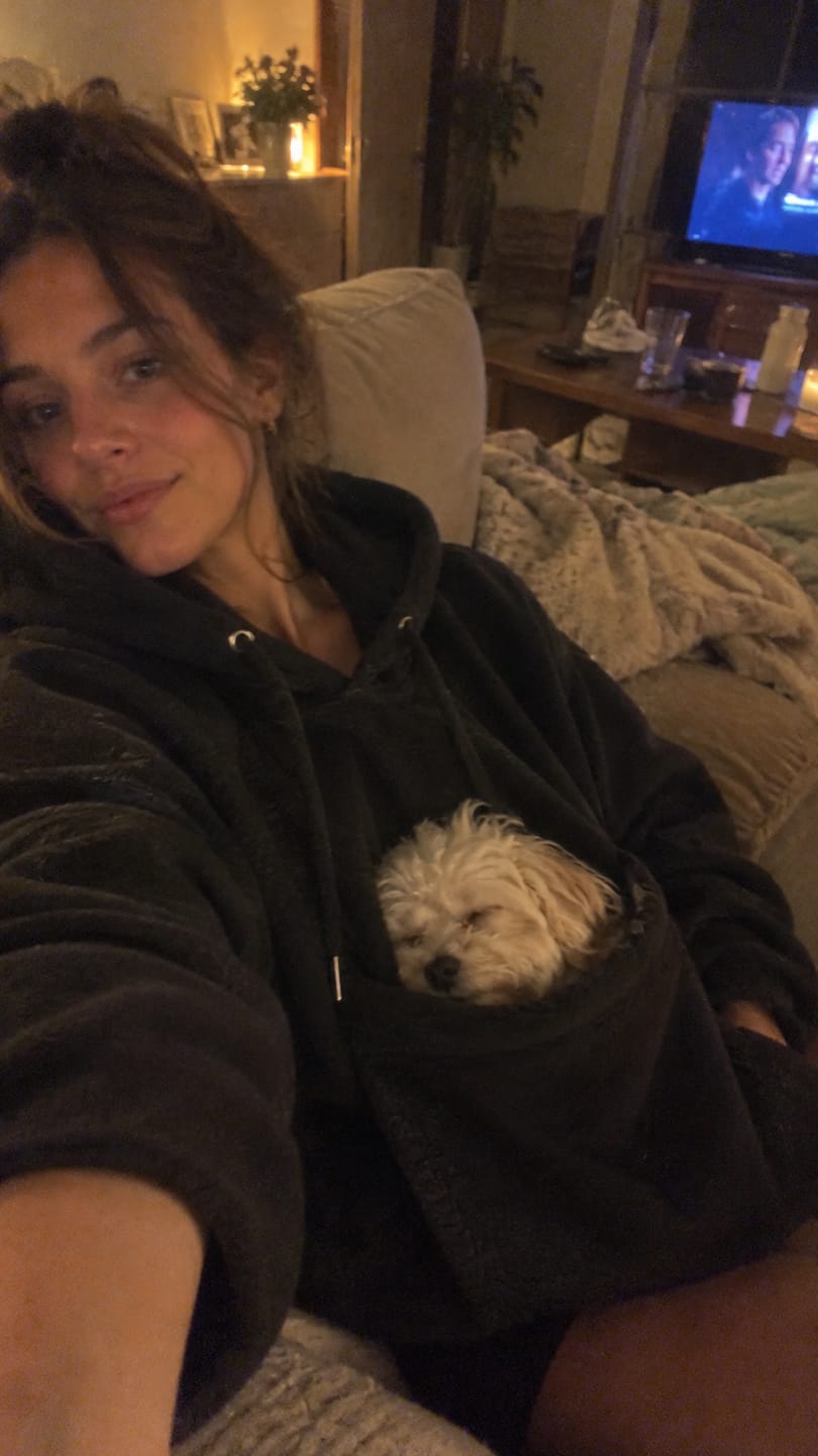 Customer photo review of The Joey Hoodie™ – for Small Dogs & Cats