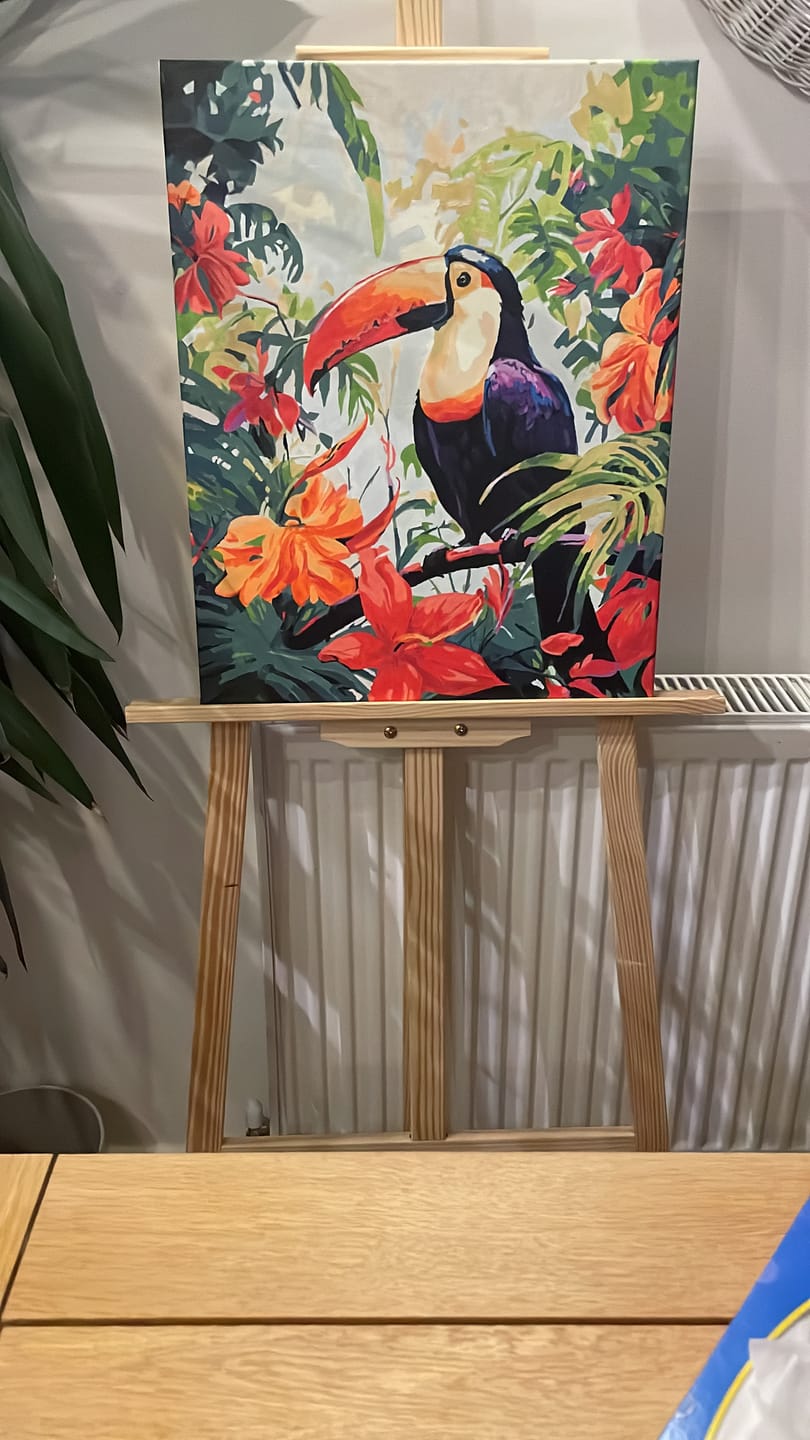 Customer photo review of Toucan dans la jungle