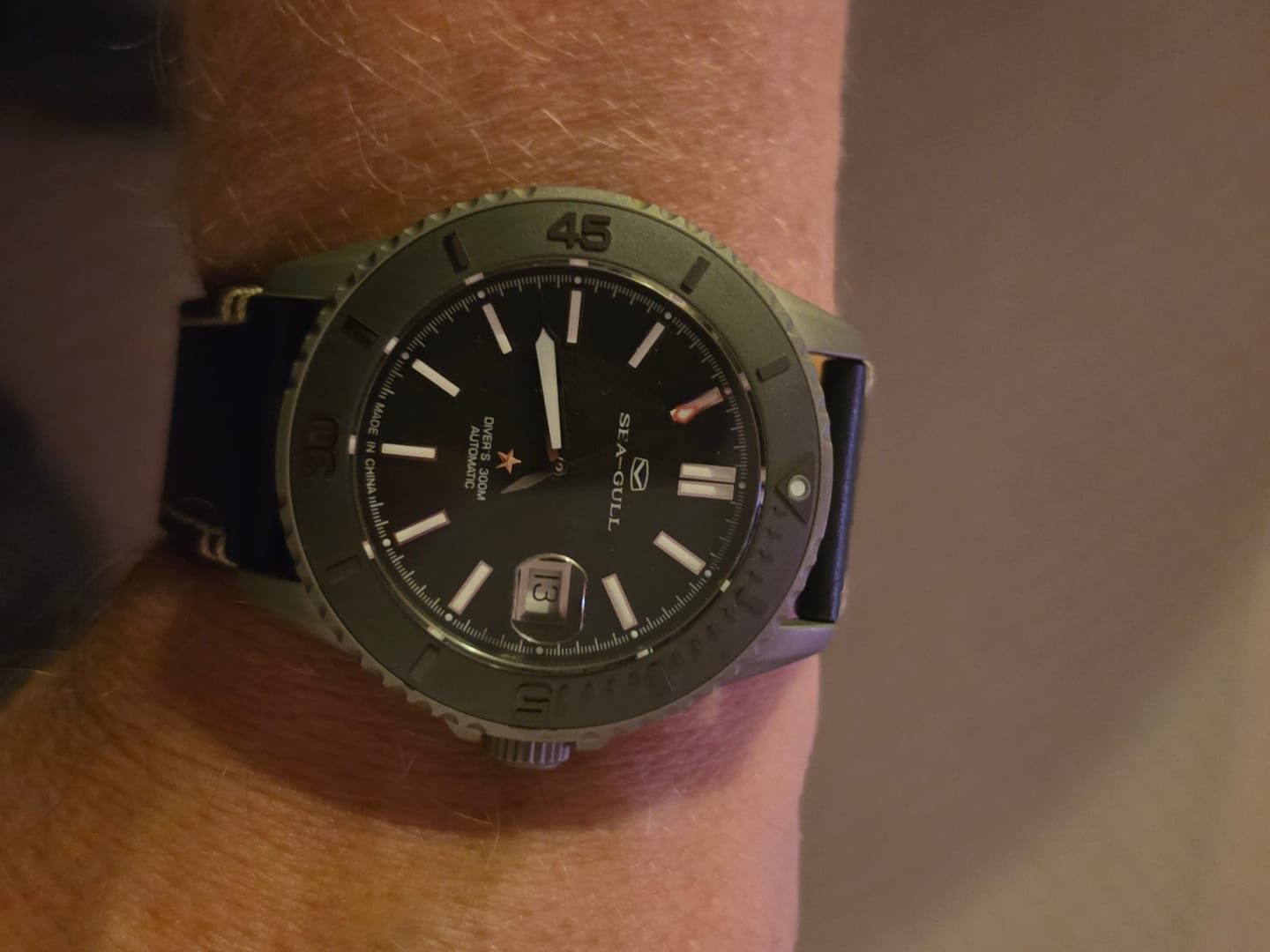 Customer photo review of Ocean Series | Titanium Sand Ceramic Bezel | 300m Waterproof | Luminous | 43.5mm