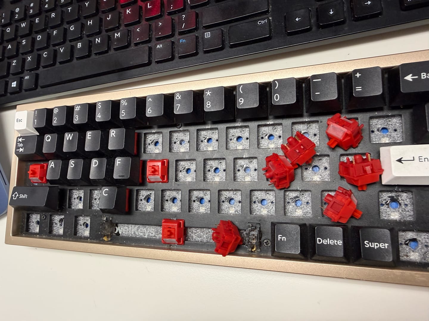 Customer photo review of HMX TT Red S Light Tactile Switch Factory Lubed (10PCS)
