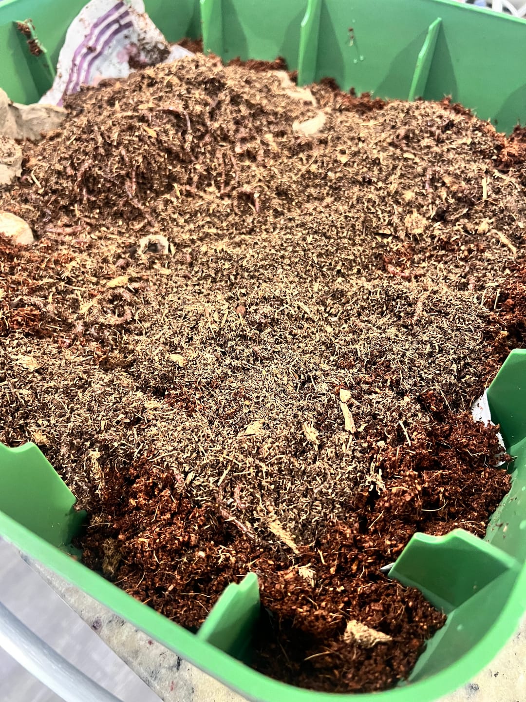 Customer photo review of Worm Bedding - Coco Coir