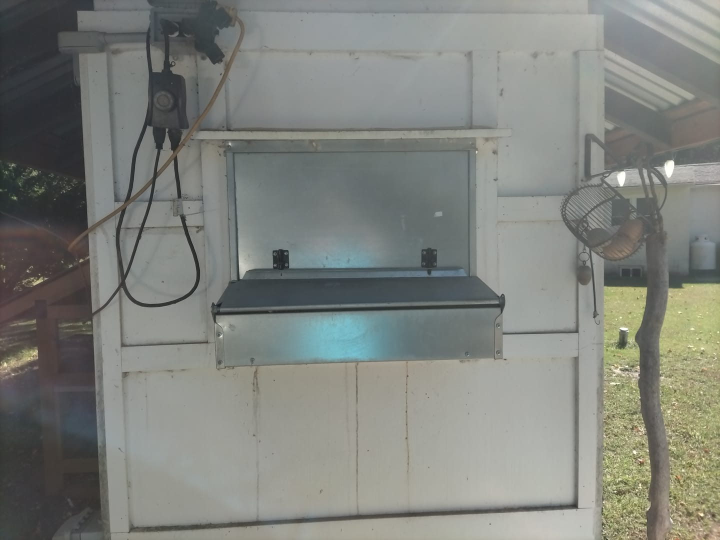 Customer photo review of Small (24") Reversible Roll-out Nest Box (Up to 20 Hens)
