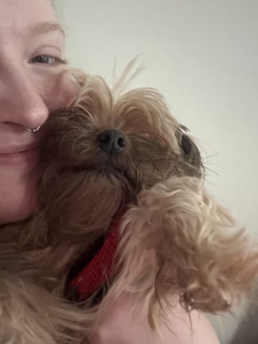 Reviewer holding a fluffy dog while using Houndora™.
