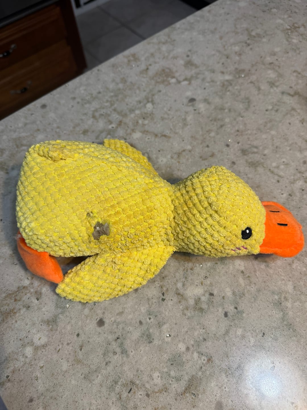 Customer photo review of Quacking Duck Plush Dog Toy