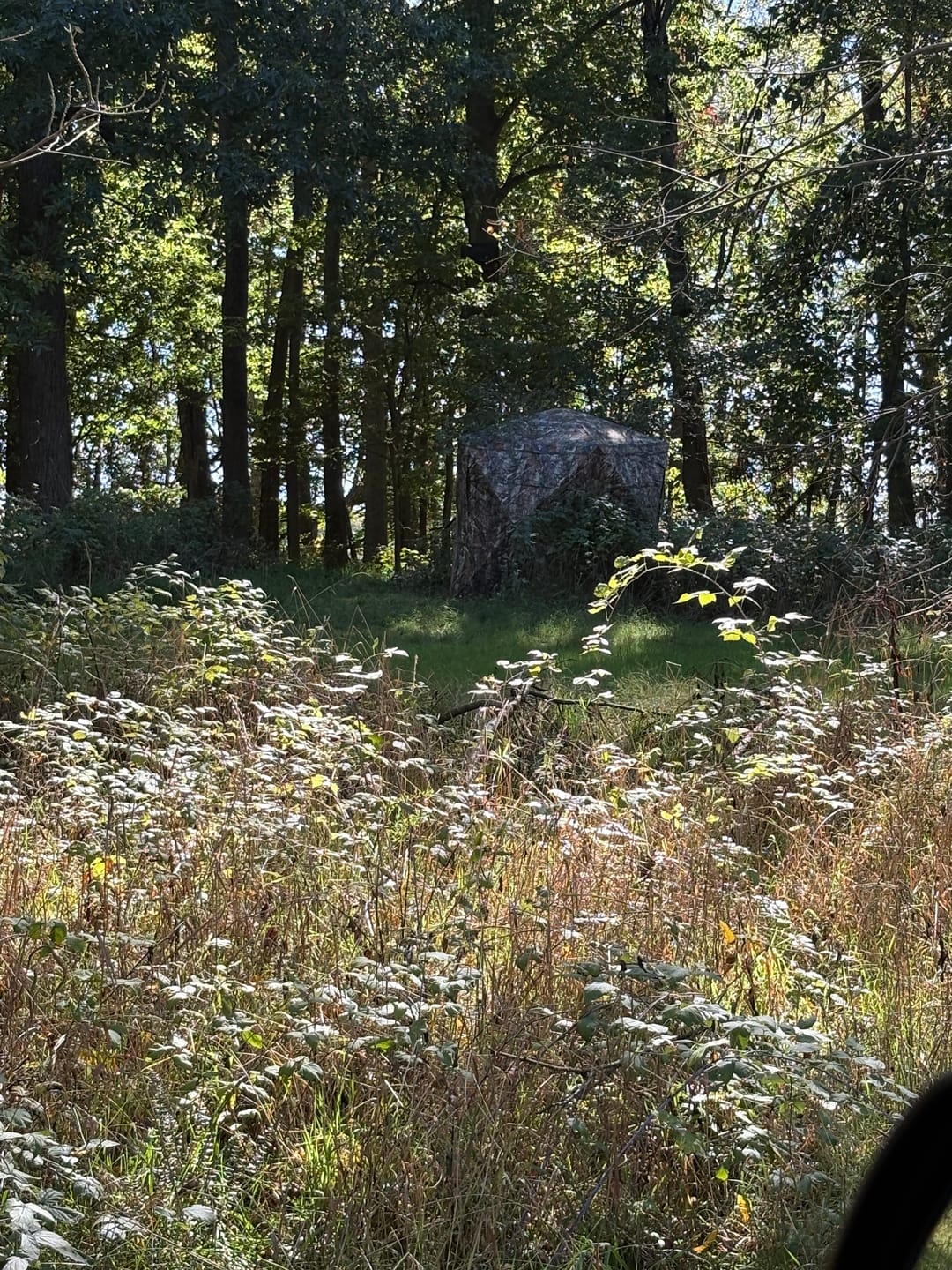 Customer photo review of VisTall 360 See-Through Ground Blind | 75-Inch 3 Person Pop Up Deer Blind with No-Trip Door | Portable Camo Hunting Blind with Blackout Curtain for Whitetail Deer Hunting