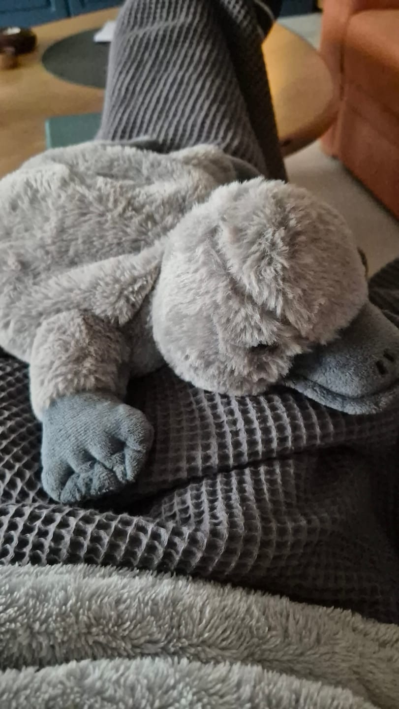 Customer photo review of Kuscheldecke "Vollkommen" Grau · Gletschergrau