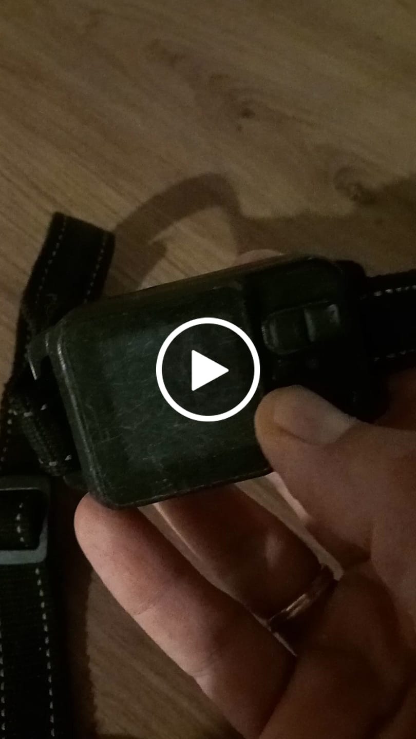 Customer video review of Le 1er Collier Anti-Fugue GPS SANS ABONNEMENT